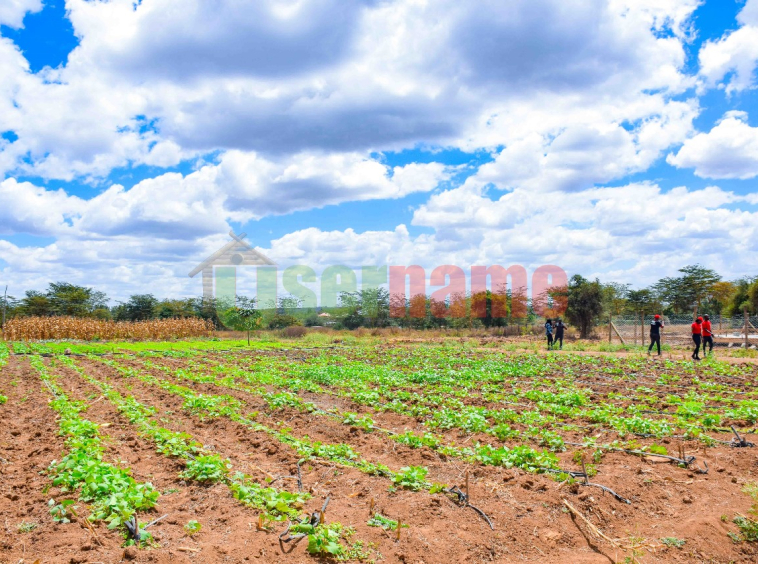 Land & Plots for sale in Kitengela Amber Estate-Kitengela (1)