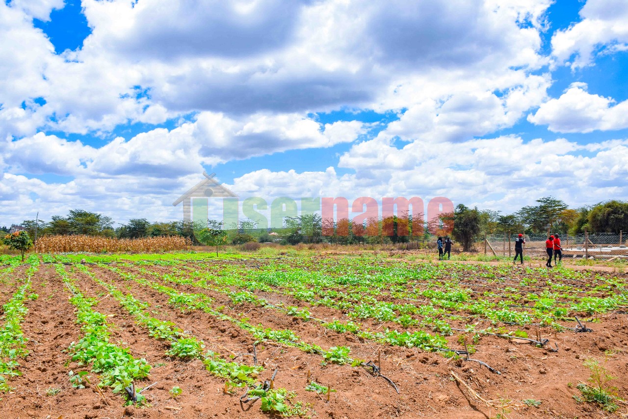 Land & Plots for sale in Kitengela Amber Estate-Kitengela (1)