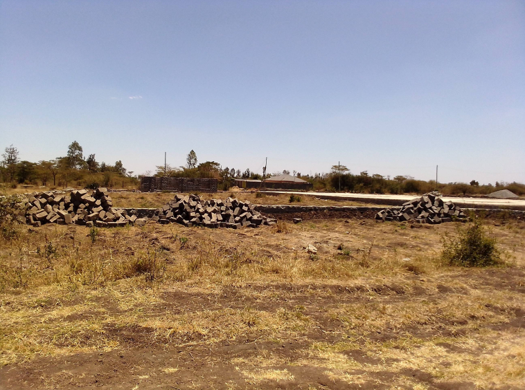 Prime plots for sale in Thika