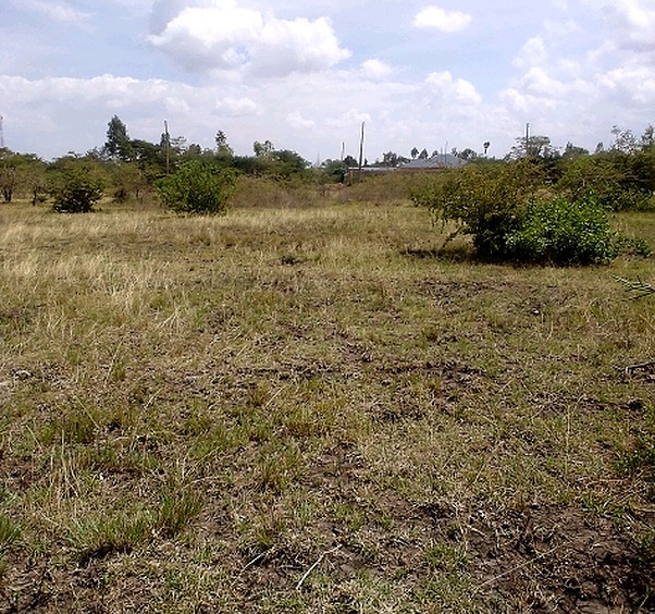 prime plot for sale in Thika