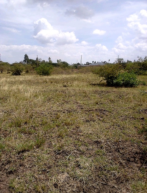 prime plot for sale in Thika