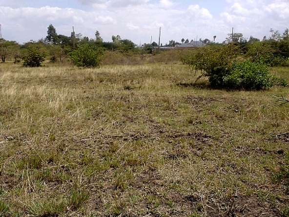 Prime plots for sale in Thika